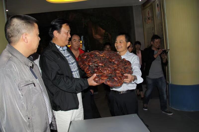 中國靈芝十大品牌|仙客來靈芝|仙客來靈芝破壁孢子粉|仙客來孢子油|仙客來靈芝飲片|仙客來破壁孢子粉|仙客來靈芝中藥飲片|馳名商標|m.madree.com.cn| 中國靈芝十大品牌|仙客來靈芝|仙客來靈芝破壁孢子粉|仙客來孢子油|仙客來靈芝飲片|仙客來破壁孢子粉|仙客來靈芝中藥飲片|馳名商標|m.madree.com.cn|