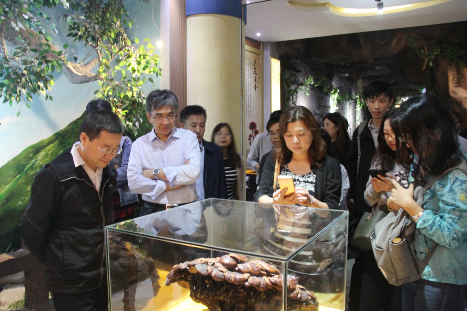 中國靈芝十大品牌|仙客來靈芝|仙客來靈芝破壁孢子粉|仙客來孢子油|仙客來靈芝飲片|仙客來破壁孢子粉|仙客來靈芝中藥飲片|馳名商標(biāo)|m.madree.com.cn| 中國靈芝十大品牌|仙客來靈芝|仙客來靈芝破壁孢子粉|仙客來孢子油|仙客來靈芝飲片|仙客來破壁孢子粉|仙客來靈芝中藥飲片|馳名商標(biāo)|m.madree.com.cn|