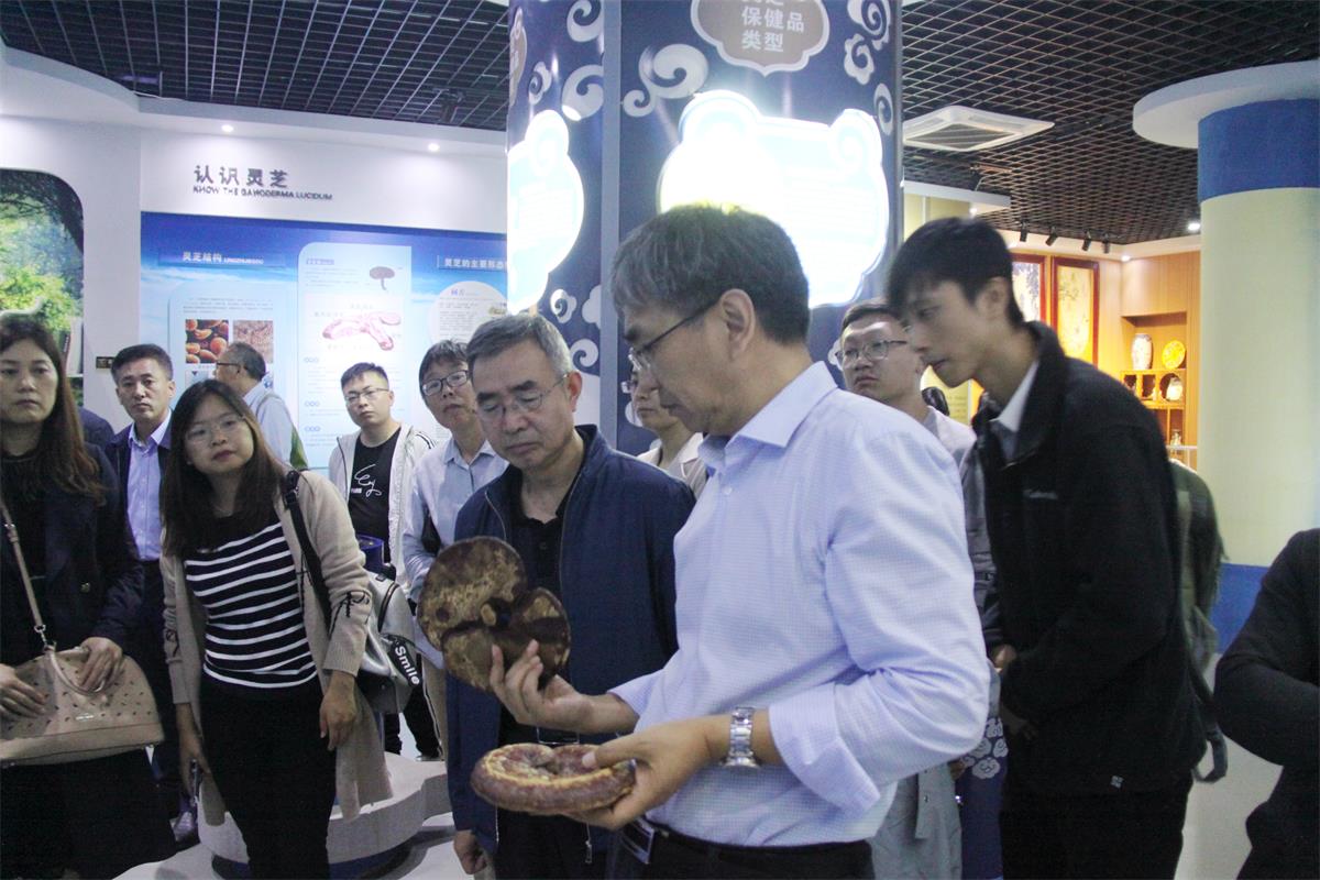 中國靈芝十大品牌|仙客來靈芝|仙客來靈芝破壁孢子粉|仙客來孢子油|仙客來靈芝飲片|仙客來破壁孢子粉|仙客來靈芝中藥飲片|馳名商標(biāo)|m.madree.com.cn| 中國靈芝十大品牌|仙客來靈芝|仙客來靈芝破壁孢子粉|仙客來孢子油|仙客來靈芝飲片|仙客來破壁孢子粉|仙客來靈芝中藥飲片|馳名商標(biāo)|m.madree.com.cn|