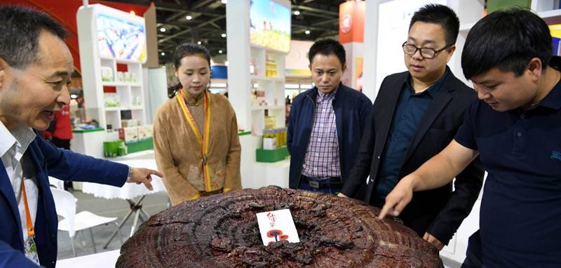 中國靈芝十大品牌|仙客來靈芝|仙客來靈芝破壁孢子粉|仙客來孢子油|仙客來靈芝飲片|仙客來破壁孢子粉|仙客來靈芝中藥飲片|馳名商標(biāo)|m.madree.com.cn| 中國靈芝十大品牌|仙客來靈芝|仙客來靈芝破壁孢子粉|仙客來孢子油|仙客來靈芝飲片|仙客來破壁孢子粉|仙客來靈芝中藥飲片|馳名商標(biāo)|m.madree.com.cn|