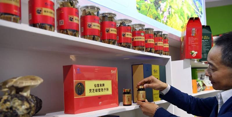 中國靈芝十大品牌|仙客來靈芝|仙客來靈芝破壁孢子粉|仙客來孢子油|仙客來靈芝飲片|仙客來破壁孢子粉|仙客來靈芝中藥飲片|馳名商標(biāo)|m.madree.com.cn| 中國靈芝十大品牌|仙客來靈芝|仙客來靈芝破壁孢子粉|仙客來孢子油|仙客來靈芝飲片|仙客來破壁孢子粉|仙客來靈芝中藥飲片|馳名商標(biāo)|m.madree.com.cn|