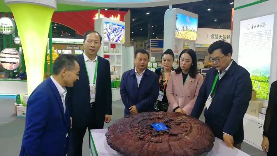 中國靈芝十大品牌|仙客來靈芝|仙客來靈芝破壁孢子粉|仙客來孢子油|仙客來靈芝飲片|仙客來破壁孢子粉|仙客來靈芝中藥飲片|馳名商標(biāo)|m.madree.com.cn| 中國靈芝十大品牌|仙客來靈芝|仙客來靈芝破壁孢子粉|仙客來孢子油|仙客來靈芝飲片|仙客來破壁孢子粉|仙客來靈芝中藥飲片|馳名商標(biāo)|m.madree.com.cn|