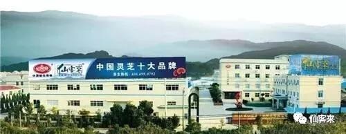 中國(guó)靈芝十大品牌|仙客來(lái)靈芝|仙客來(lái)靈芝破壁孢子粉|仙客來(lái)孢子油|仙客來(lái)靈芝飲片|仙客來(lái)破壁孢子粉|仙客來(lái)靈芝中藥飲片|馳名商標(biāo)|m.madree.com.cn| 中國(guó)靈芝十大品牌|仙客來(lái)靈芝|仙客來(lái)靈芝破壁孢子粉|仙客來(lái)孢子油|仙客來(lái)靈芝飲片|仙客來(lái)破壁孢子粉|仙客來(lái)靈芝中藥飲片|馳名商標(biāo)|m.madree.com.cn|