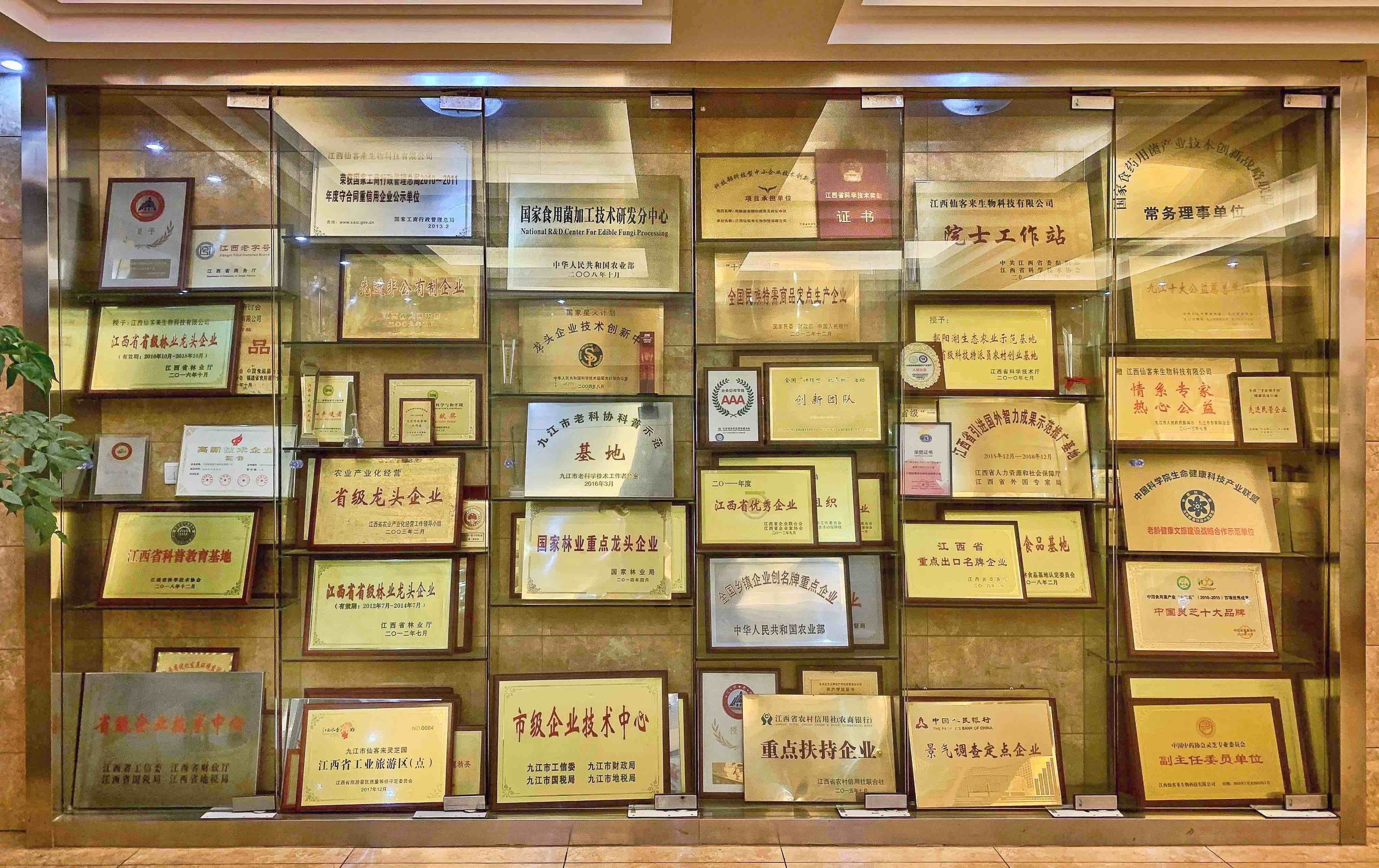 杭州亞運會官方靈芝產品供應商|杭州亞運會官方供應商|中國靈芝十大品牌|仙客來靈芝|仙客來靈芝破壁孢子粉|仙客來孢子油|仙客來靈芝飲片|仙客來破壁孢子粉|靈芝孢子油|孢子粉|靈芝破壁孢子粉|靈芝|中華老字號 杭州亞運會官方靈芝產品供應商|杭州亞運會官方供應商|中國靈芝十大品牌|仙客來靈芝|仙客來靈芝破壁孢子粉|仙客來孢子油|仙客來靈芝飲片|仙客來破壁孢子粉|靈芝孢子油|孢子粉|靈芝破壁孢子粉|靈芝|中華老字號