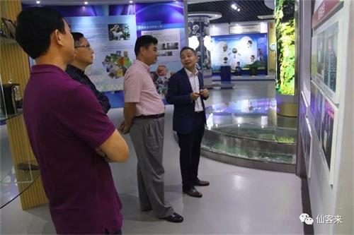 杭州亞運會官方靈芝產(chǎn)品供應(yīng)商|杭州亞運會官方供應(yīng)商|中國靈芝十大品牌|仙客來靈芝|仙客來靈芝破壁孢子粉|仙客來孢子油|仙客來靈芝飲片|仙客來破壁孢子粉|靈芝孢子油|孢子粉|靈芝破壁孢子粉|靈芝|中華老字號