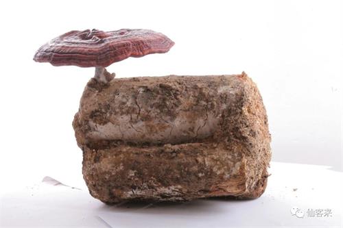 1589788608789561.jpg BBF01079015FA961EF61EBB89E1F40E6.jpg