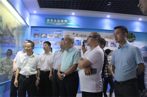 杭州亞運(yùn)會(huì)官方靈芝產(chǎn)品供應(yīng)商|杭州亞運(yùn)會(huì)官方供應(yīng)商|中國(guó)靈芝十大品牌|仙客來靈芝|仙客來靈芝破壁孢子粉|仙客來孢子油|仙客來靈芝飲片|仙客來破壁孢子粉|靈芝孢子油|孢子粉|靈芝破壁孢子粉|靈芝|中華老字號(hào)