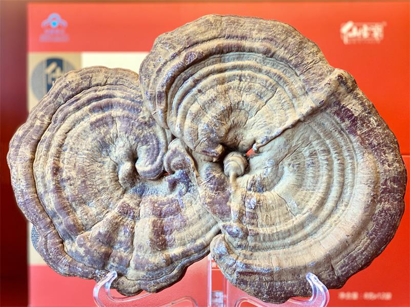 1592192505421324.jpeg IMG_3538.jpeg