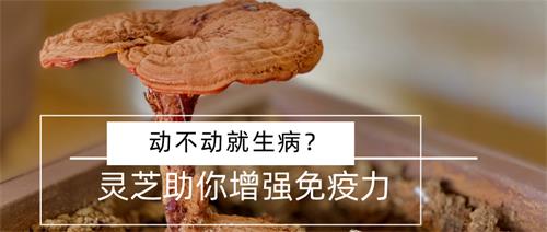 1592469998926370.jpg 默認(rèn)標(biāo)題_公眾號封面首圖_2020-06-18-0 (1).jpg