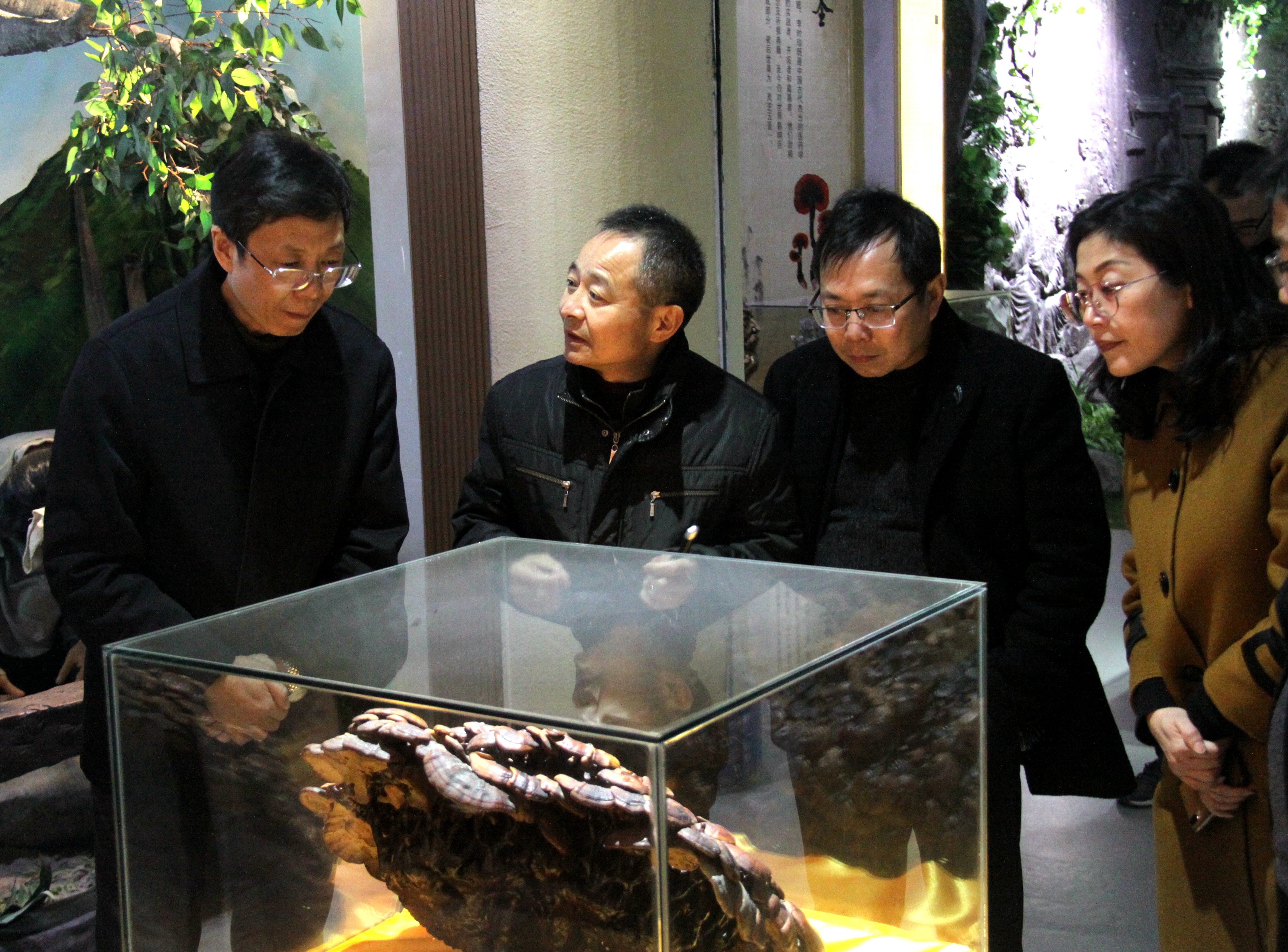 杭州亞運會官方靈芝產(chǎn)品供應(yīng)商|杭州亞運會官方供應(yīng)商|中國靈芝十大品牌|仙客來靈芝|仙客來靈芝破壁孢子粉|仙客來孢子油|仙客來靈芝飲片|仙客來破壁孢子粉|靈芝孢子油|孢子粉|靈芝破壁孢子粉|靈芝|中華老字號 杭州亞運會官方靈芝產(chǎn)品供應(yīng)商|杭州亞運會官方供應(yīng)商|中國靈芝十大品牌|仙客來靈芝|仙客來靈芝破壁孢子粉|仙客來孢子油|仙客來靈芝飲片|仙客來破壁孢子粉|靈芝孢子油|孢子粉|靈芝破壁孢子粉|靈芝|中華老字號