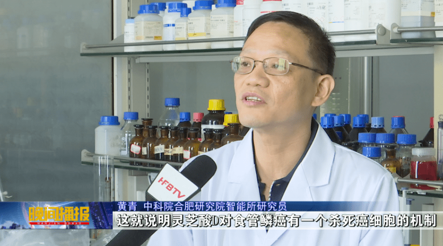 杭州亞運(yùn)會(huì)官方靈芝產(chǎn)品供應(yīng)商|杭州亞運(yùn)會(huì)官方供應(yīng)商|中國(guó)靈芝十大品牌|仙客來(lái)靈芝|仙客來(lái)靈芝破壁孢子粉|仙客來(lái)孢子油|仙客來(lái)靈芝飲片|仙客來(lái)破壁孢子粉|靈芝孢子油|孢子粉|靈芝破壁孢子粉|靈芝|中華老字號(hào)