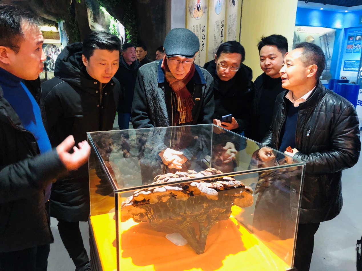 杭州亞運(yùn)會(huì)官方靈芝產(chǎn)品供應(yīng)商|杭州亞運(yùn)會(huì)官方供應(yīng)商|中國(guó)靈芝十大品牌|仙客來(lái)靈芝|仙客來(lái)靈芝破壁孢子粉|仙客來(lái)孢子油|仙客來(lái)靈芝飲片|仙客來(lái)破壁孢子粉|靈芝孢子油|孢子粉|靈芝破壁孢子粉|靈芝|中華老字號(hào)