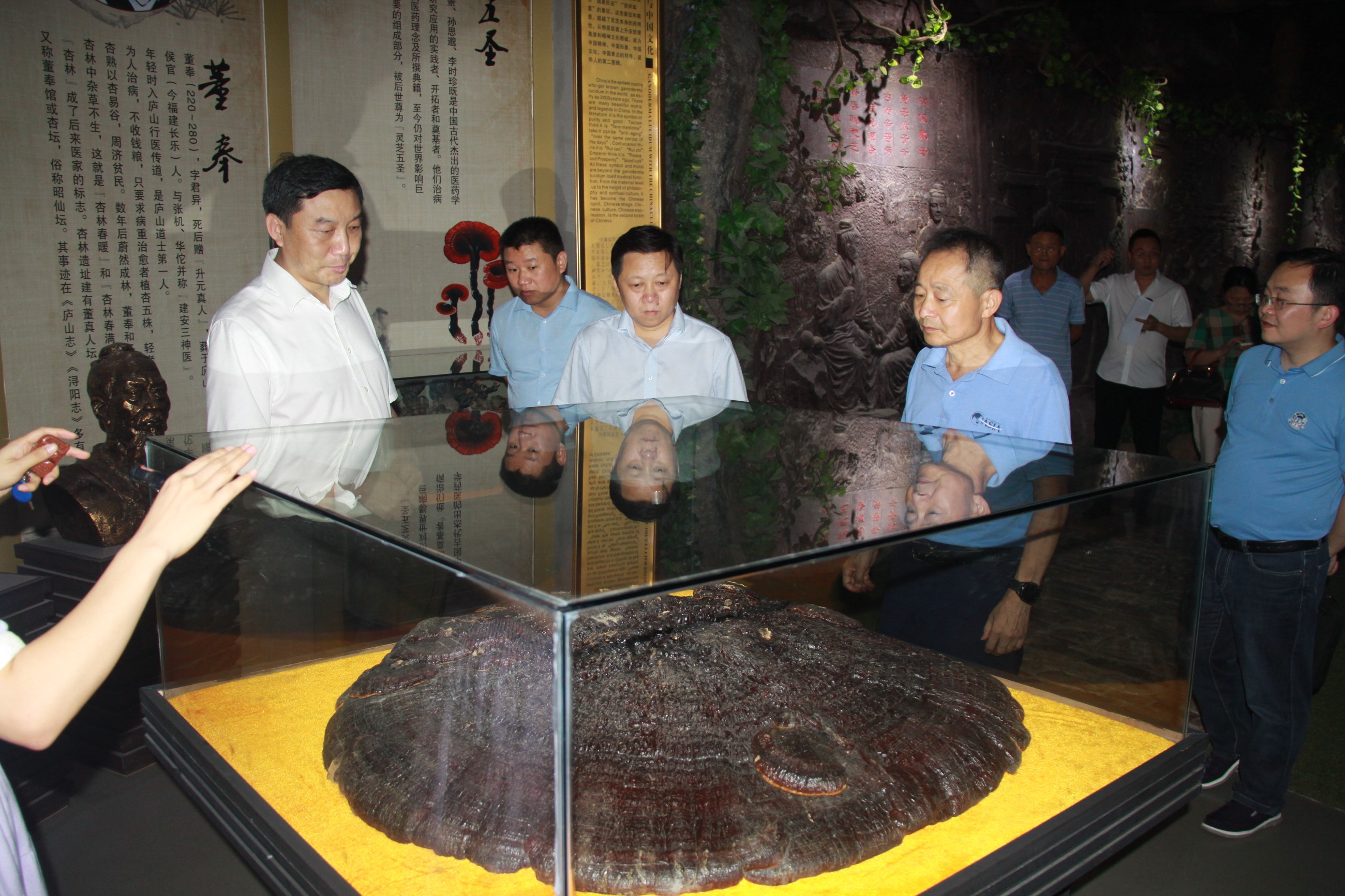 杭州亞運(yùn)會(huì)官方靈芝產(chǎn)品供應(yīng)商|杭州亞運(yùn)會(huì)官方供應(yīng)商|中國(guó)靈芝十大品牌|仙客來靈芝|仙客來靈芝破壁孢子粉|仙客來孢子油|仙客來靈芝飲片|仙客來破壁孢子粉|靈芝孢子油|孢子粉|靈芝破壁孢子粉|靈芝|中華老字號(hào)