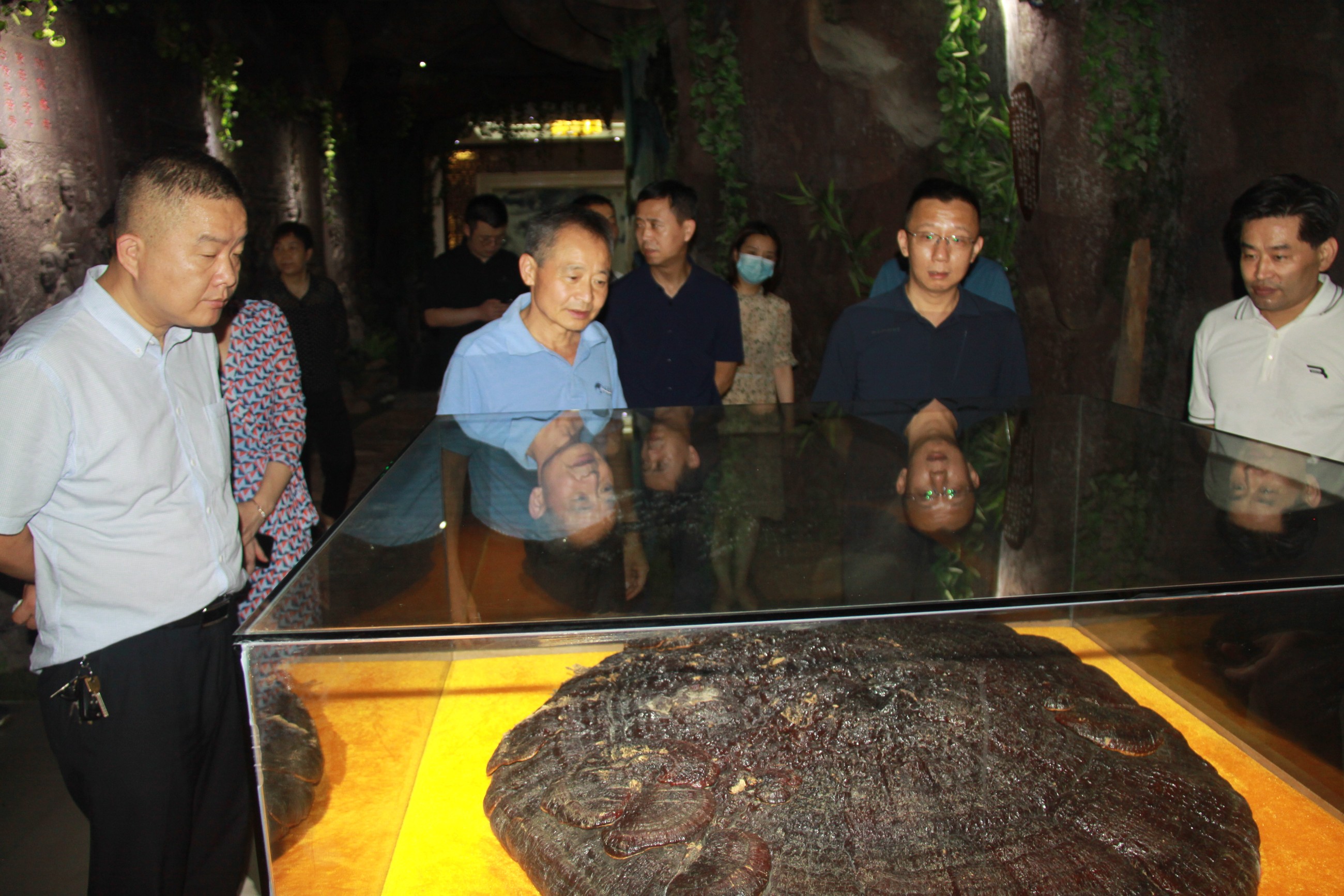 杭州亞運(yùn)會(huì)官方靈芝產(chǎn)品供應(yīng)商|杭州亞運(yùn)會(huì)官方供應(yīng)商|中國(guó)靈芝十大品牌|仙客來(lái)靈芝|仙客來(lái)靈芝破壁孢子粉|仙客來(lái)孢子油|仙客來(lái)靈芝飲片|仙客來(lái)破壁孢子粉|靈芝孢子油|孢子粉|靈芝破壁孢子粉|靈芝|中華老字號(hào) 杭州亞運(yùn)會(huì)官方靈芝產(chǎn)品供應(yīng)商|杭州亞運(yùn)會(huì)官方供應(yīng)商|中國(guó)靈芝十大品牌|仙客來(lái)靈芝|仙客來(lái)靈芝破壁孢子粉|仙客來(lái)孢子油|仙客來(lái)靈芝飲片|仙客來(lái)破壁孢子粉|靈芝孢子油|孢子粉|靈芝破壁孢子粉|靈芝|中華老字號(hào)