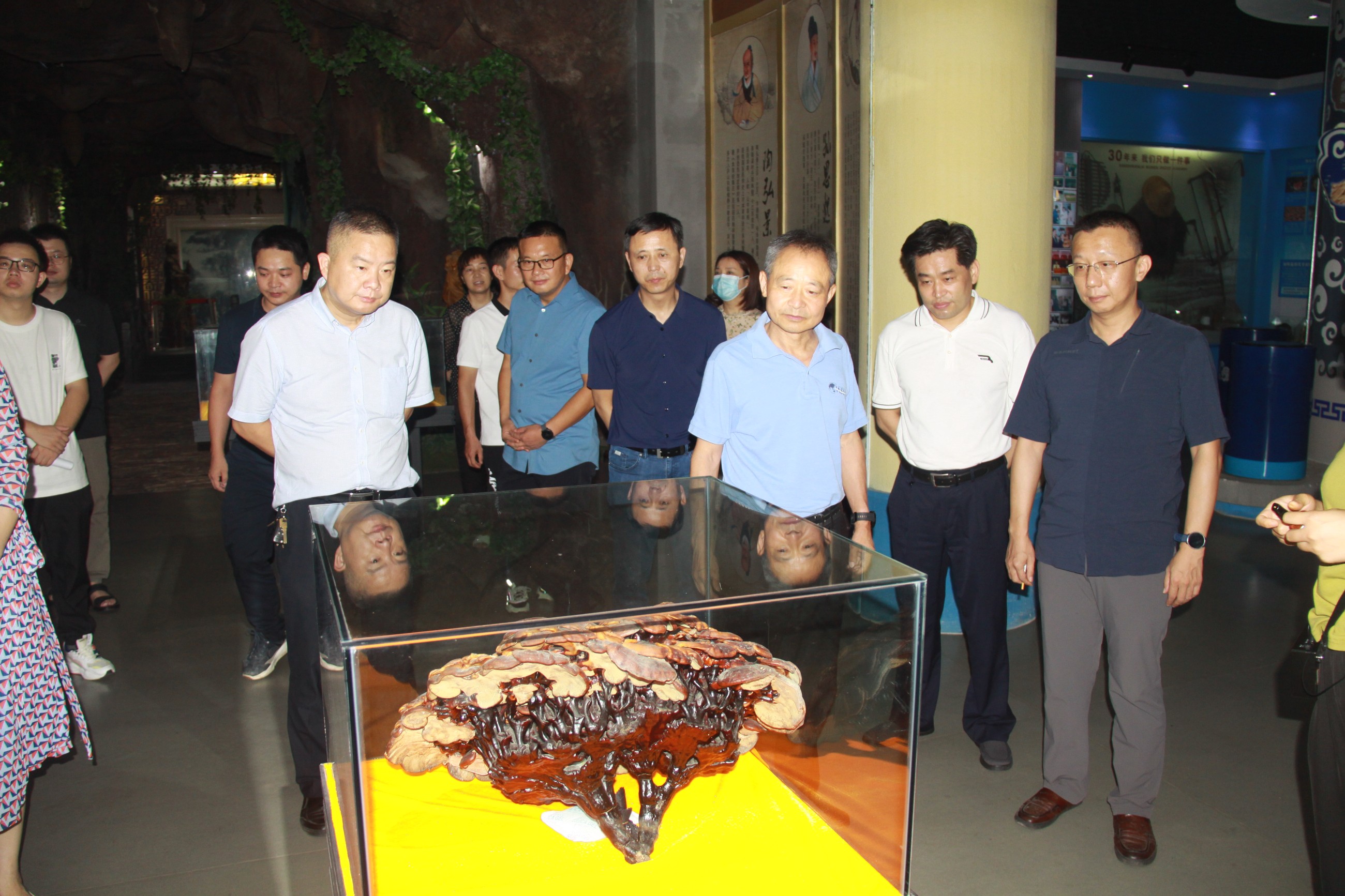 杭州亞運(yùn)會(huì)官方靈芝產(chǎn)品供應(yīng)商|杭州亞運(yùn)會(huì)官方供應(yīng)商|中國(guó)靈芝十大品牌|仙客來(lái)靈芝|仙客來(lái)靈芝破壁孢子粉|仙客來(lái)孢子油|仙客來(lái)靈芝飲片|仙客來(lái)破壁孢子粉|靈芝孢子油|孢子粉|靈芝破壁孢子粉|靈芝|中華老字號(hào) 杭州亞運(yùn)會(huì)官方靈芝產(chǎn)品供應(yīng)商|杭州亞運(yùn)會(huì)官方供應(yīng)商|中國(guó)靈芝十大品牌|仙客來(lái)靈芝|仙客來(lái)靈芝破壁孢子粉|仙客來(lái)孢子油|仙客來(lái)靈芝飲片|仙客來(lái)破壁孢子粉|靈芝孢子油|孢子粉|靈芝破壁孢子粉|靈芝|中華老字號(hào)