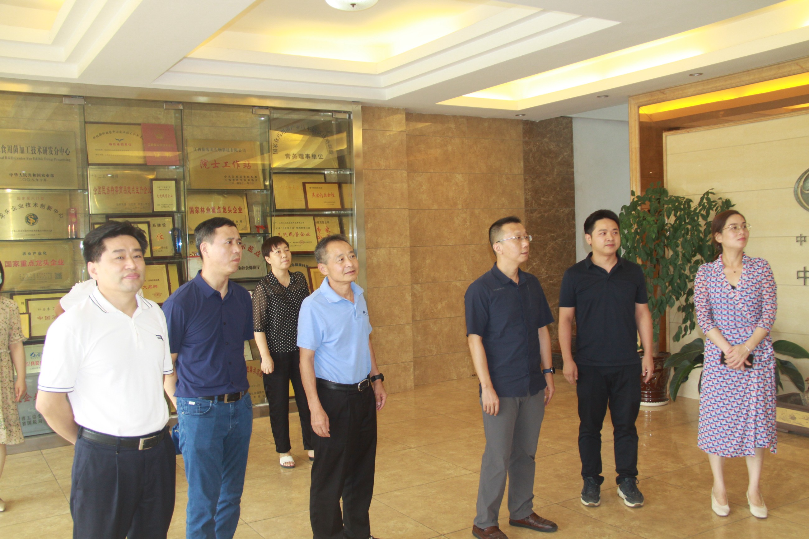 杭州亞運(yùn)會(huì)官方靈芝產(chǎn)品供應(yīng)商|杭州亞運(yùn)會(huì)官方供應(yīng)商|中國(guó)靈芝十大品牌|仙客來(lái)靈芝|仙客來(lái)靈芝破壁孢子粉|仙客來(lái)孢子油|仙客來(lái)靈芝飲片|仙客來(lái)破壁孢子粉|靈芝孢子油|孢子粉|靈芝破壁孢子粉|靈芝|中華老字號(hào) 杭州亞運(yùn)會(huì)官方靈芝產(chǎn)品供應(yīng)商|杭州亞運(yùn)會(huì)官方供應(yīng)商|中國(guó)靈芝十大品牌|仙客來(lái)靈芝|仙客來(lái)靈芝破壁孢子粉|仙客來(lái)孢子油|仙客來(lái)靈芝飲片|仙客來(lái)破壁孢子粉|靈芝孢子油|孢子粉|靈芝破壁孢子粉|靈芝|中華老字號(hào)