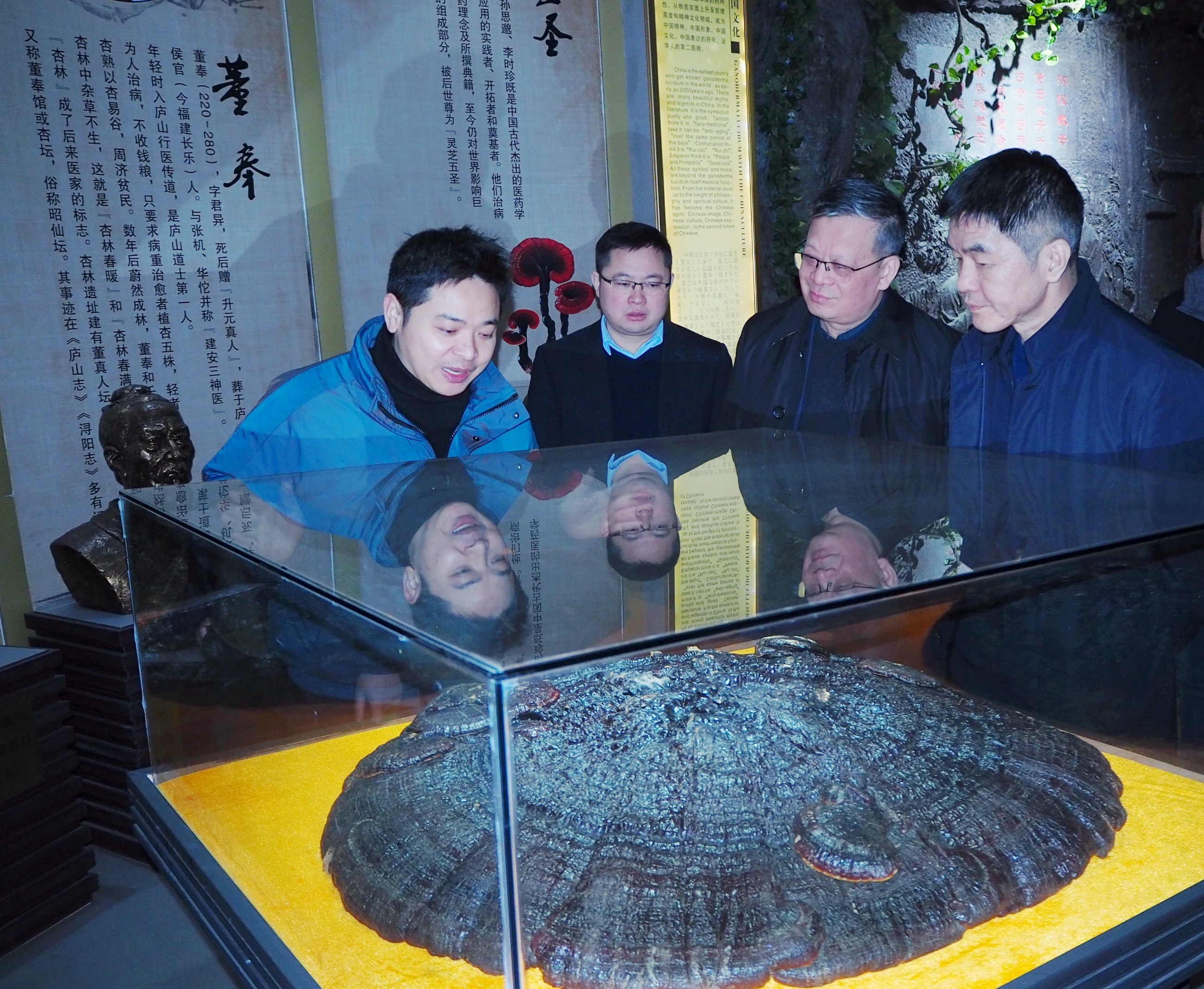 杭州亞運會官方靈芝產(chǎn)品供應商|杭州亞運會官方供應商|中國靈芝十大品牌|仙客來靈芝|仙客來靈芝破壁孢子粉|仙客來孢子油|仙客來靈芝飲片|仙客來破壁孢子粉|靈芝孢子油|孢子粉|靈芝破壁孢子粉|靈芝|中華老字號 杭州亞運會官方靈芝產(chǎn)品供應商|杭州亞運會官方供應商|中國靈芝十大品牌|仙客來靈芝|仙客來靈芝破壁孢子粉|仙客來孢子油|仙客來靈芝飲片|仙客來破壁孢子粉|靈芝孢子油|孢子粉|靈芝破壁孢子粉|靈芝|中華老字號