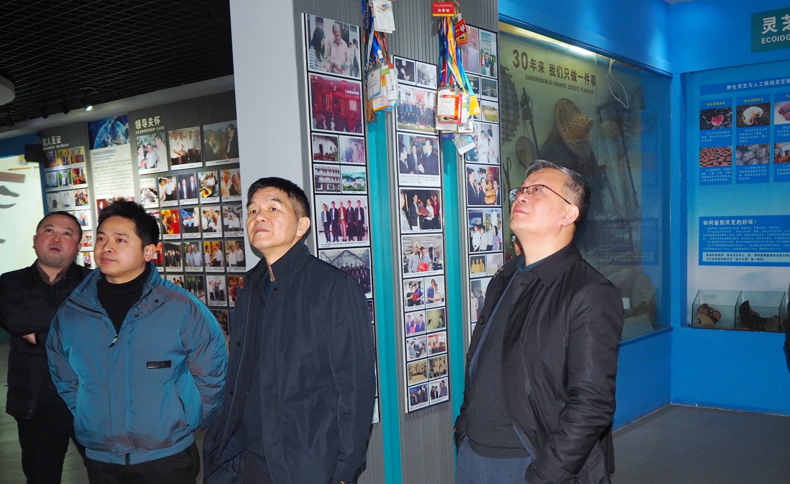 杭州亞運會官方靈芝產(chǎn)品供應商|杭州亞運會官方供應商|中國靈芝十大品牌|仙客來靈芝|仙客來靈芝破壁孢子粉|仙客來孢子油|仙客來靈芝飲片|仙客來破壁孢子粉|靈芝孢子油|孢子粉|靈芝破壁孢子粉|靈芝|中華老字號 杭州亞運會官方靈芝產(chǎn)品供應商|杭州亞運會官方供應商|中國靈芝十大品牌|仙客來靈芝|仙客來靈芝破壁孢子粉|仙客來孢子油|仙客來靈芝飲片|仙客來破壁孢子粉|靈芝孢子油|孢子粉|靈芝破壁孢子粉|靈芝|中華老字號