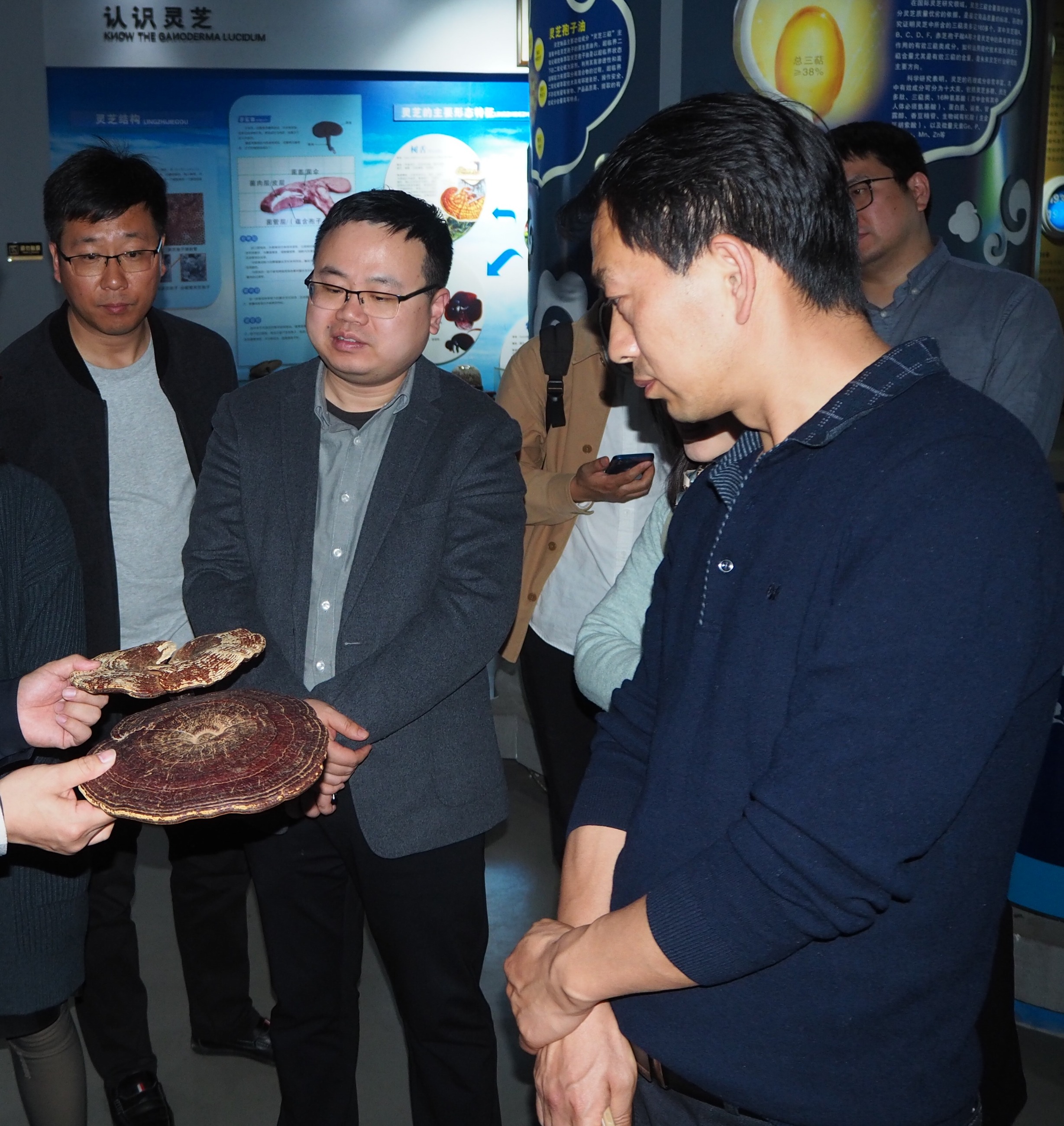 杭州亞運(yùn)會(huì)官方靈芝產(chǎn)品供應(yīng)商|杭州亞運(yùn)會(huì)官方供應(yīng)商|中國(guó)靈芝十大品牌|仙客來靈芝|仙客來靈芝破壁孢子粉|仙客來孢子油|仙客來靈芝飲片|仙客來破壁孢子粉|靈芝孢子油|孢子粉|靈芝破壁孢子粉|靈芝|中華老字號(hào) 杭州亞運(yùn)會(huì)官方靈芝產(chǎn)品供應(yīng)商|杭州亞運(yùn)會(huì)官方供應(yīng)商|中國(guó)靈芝十大品牌|仙客來靈芝|仙客來靈芝破壁孢子粉|仙客來孢子油|仙客來靈芝飲片|仙客來破壁孢子粉|靈芝孢子油|孢子粉|靈芝破壁孢子粉|靈芝|中華老字號(hào)