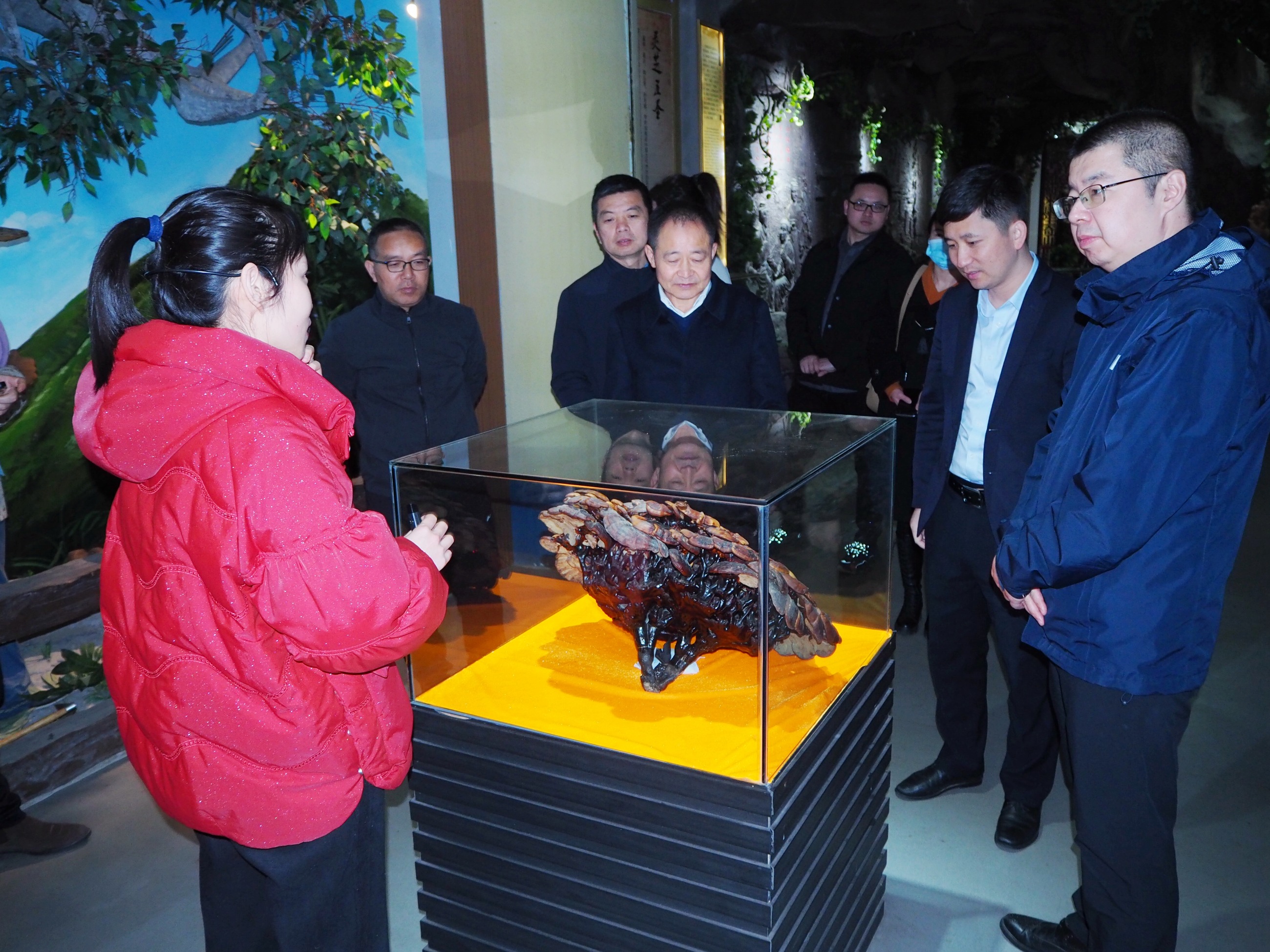 杭州亞運(yùn)會(huì)官方靈芝產(chǎn)品供應(yīng)商|杭州亞運(yùn)會(huì)官方供應(yīng)商|中國(guó)靈芝十大品牌|仙客來靈芝|仙客來靈芝破壁孢子粉|仙客來孢子油|仙客來靈芝飲片|仙客來破壁孢子粉|靈芝孢子油|孢子粉|靈芝破壁孢子粉|靈芝|中華老字號(hào)