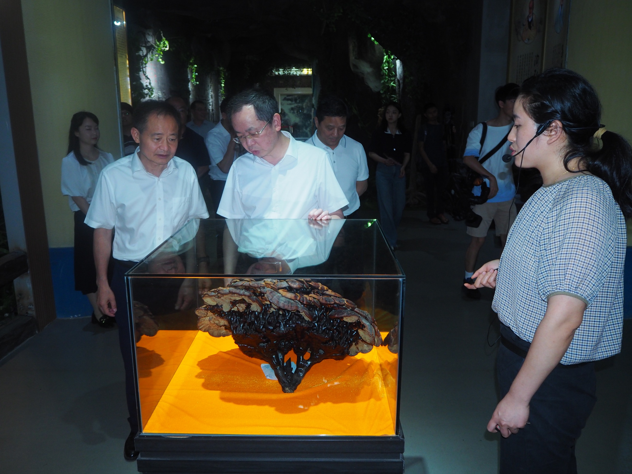 杭州亞運會官方靈芝產(chǎn)品供應(yīng)商|杭州亞運會官方供應(yīng)商|中國靈芝十大品牌|仙客來靈芝|仙客來靈芝破壁孢子粉|仙客來孢子油|仙客來靈芝飲片|仙客來破壁孢子粉|靈芝孢子油|孢子粉|靈芝破壁孢子粉|靈芝|中華老字號 杭州亞運會官方靈芝產(chǎn)品供應(yīng)商|杭州亞運會官方供應(yīng)商|中國靈芝十大品牌|仙客來靈芝|仙客來靈芝破壁孢子粉|仙客來孢子油|仙客來靈芝飲片|仙客來破壁孢子粉|靈芝孢子油|孢子粉|靈芝破壁孢子粉|靈芝|中華老字號