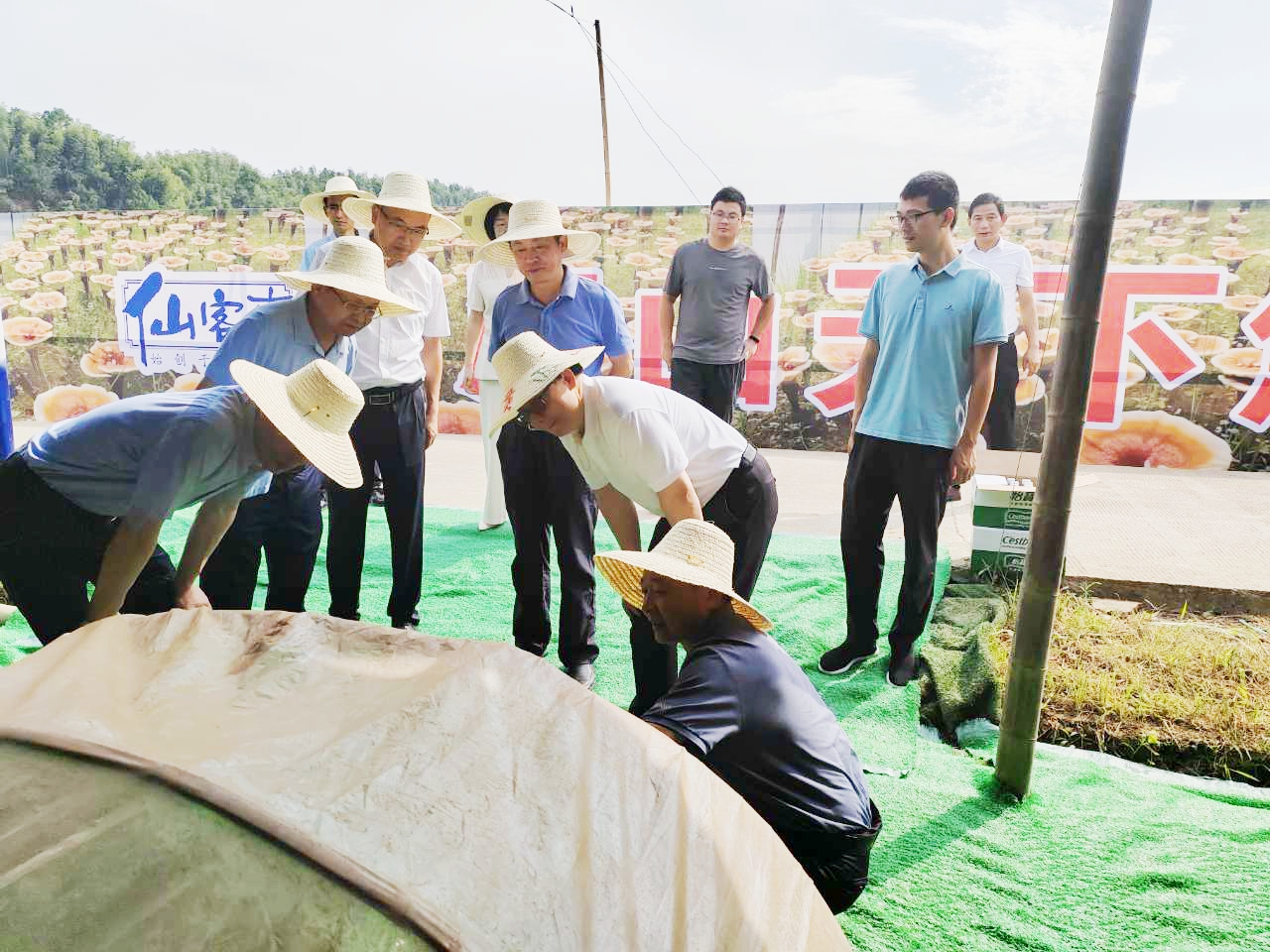 杭州亞運會官方靈芝產(chǎn)品供應(yīng)商|杭州亞運會官方供應(yīng)商|中國靈芝十大品牌|仙客來靈芝|仙客來靈芝破壁孢子粉|仙客來孢子油|仙客來靈芝飲片|仙客來破壁孢子粉|靈芝孢子油|孢子粉|靈芝破壁孢子粉|靈芝|中華老字號