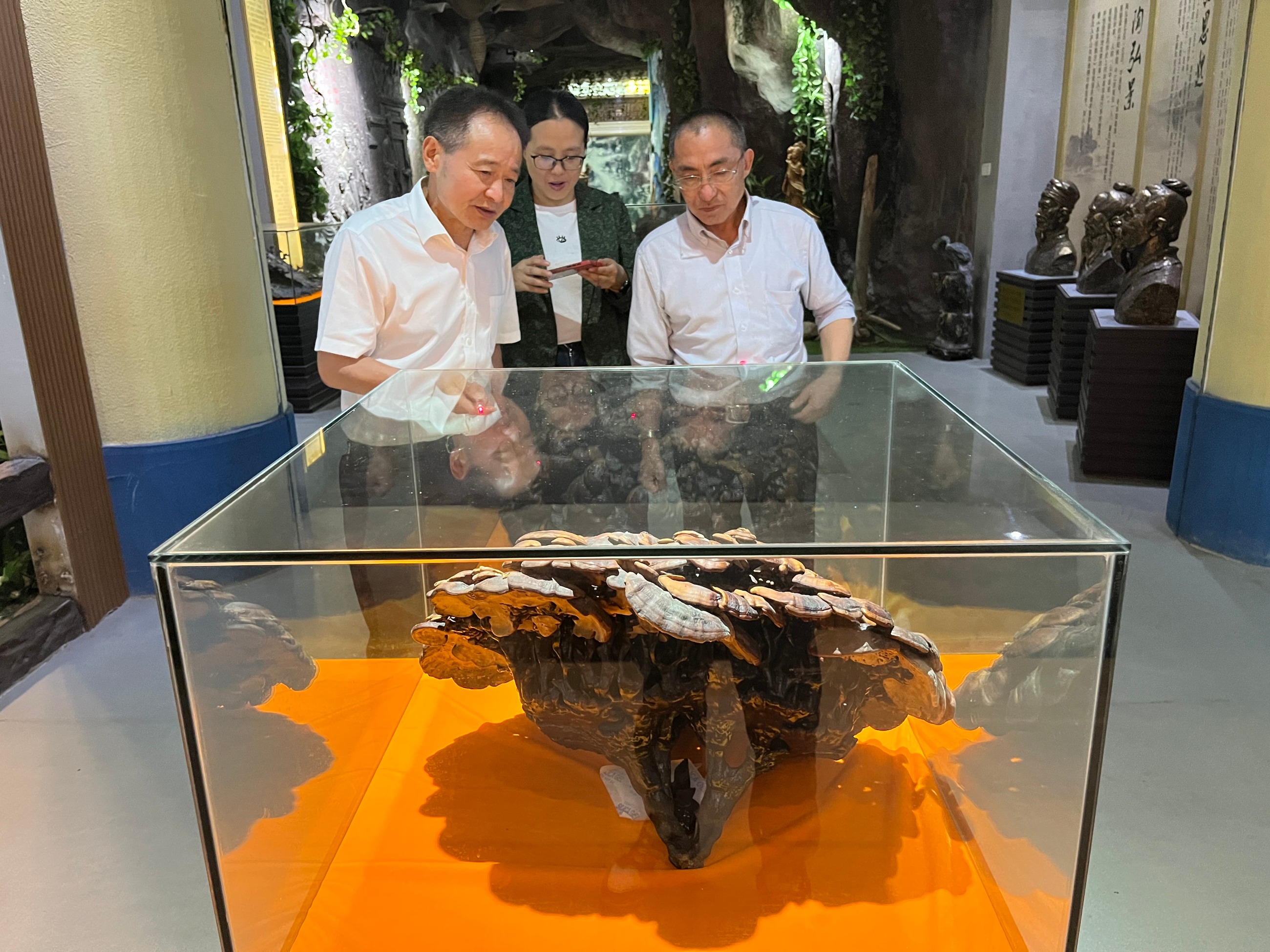 杭州亞運(yùn)會(huì)官方靈芝產(chǎn)品供應(yīng)商|杭州亞運(yùn)會(huì)官方供應(yīng)商|中國(guó)靈芝十大品牌|仙客來(lái)靈芝|仙客來(lái)靈芝破壁孢子粉|仙客來(lái)孢子油|仙客來(lái)靈芝飲片|仙客來(lái)破壁孢子粉|靈芝孢子油|孢子粉|靈芝破壁孢子粉|靈芝|中華老字號(hào)