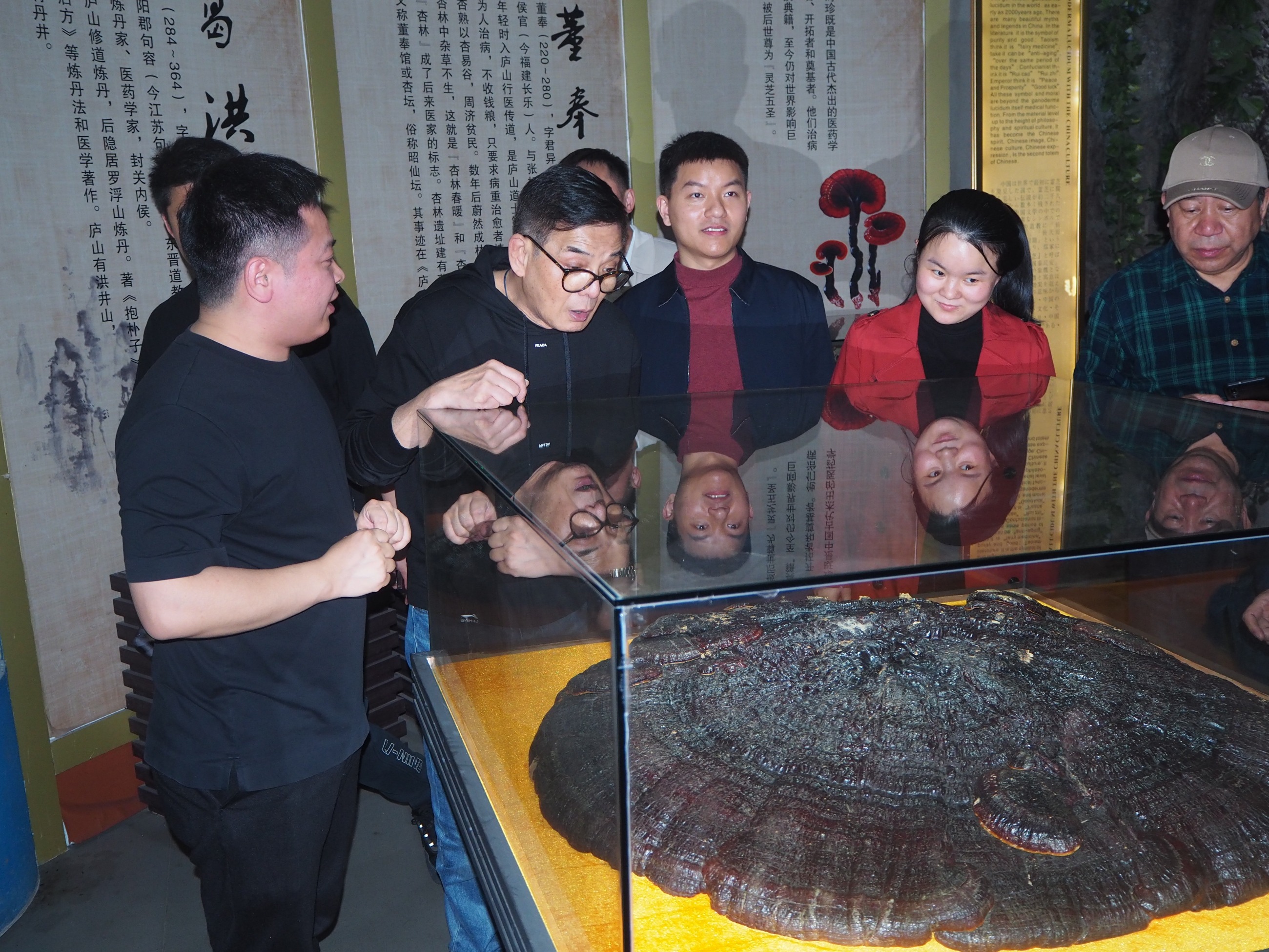 杭州亞運會官方靈芝產(chǎn)品供應(yīng)商|杭州亞運會官方供應(yīng)商|中國靈芝十大品牌|仙客來靈芝|仙客來靈芝破壁孢子粉|仙客來孢子油|仙客來靈芝飲片|仙客來破壁孢子粉|靈芝孢子油|孢子粉|靈芝破壁孢子粉|靈芝|中華老字號 杭州亞運會官方靈芝產(chǎn)品供應(yīng)商|杭州亞運會官方供應(yīng)商|中國靈芝十大品牌|仙客來靈芝|仙客來靈芝破壁孢子粉|仙客來孢子油|仙客來靈芝飲片|仙客來破壁孢子粉|靈芝孢子油|孢子粉|靈芝破壁孢子粉|靈芝|中華老字號