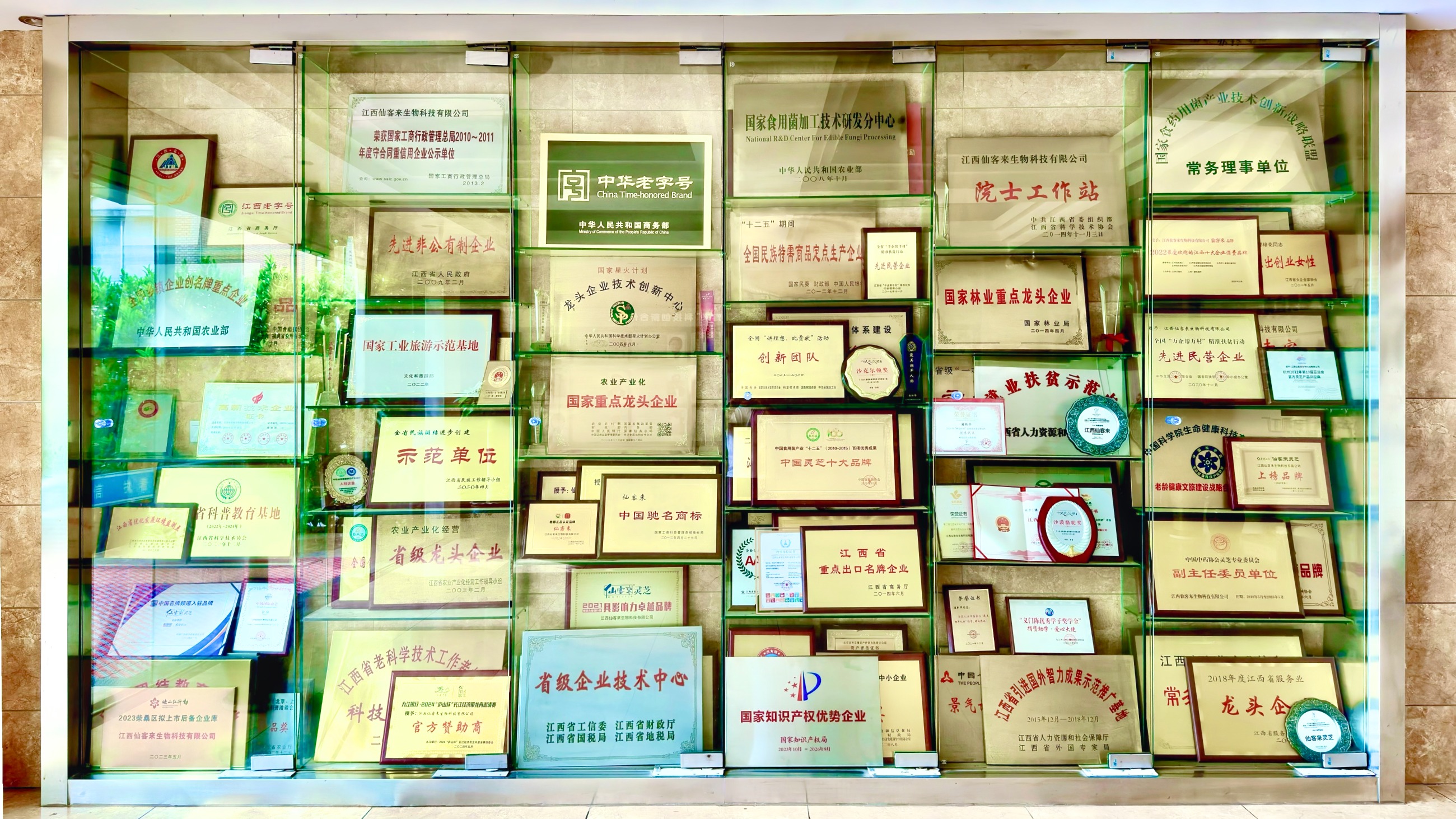 杭州亞運(yùn)會(huì)官方靈芝產(chǎn)品供應(yīng)商|杭州亞運(yùn)會(huì)官方供應(yīng)商|中國靈芝十大品牌|仙客來靈芝|仙客來靈芝破壁孢子粉|仙客來孢子油|仙客來靈芝飲片|仙客來破壁孢子粉|靈芝孢子油|孢子粉|靈芝破壁孢子粉|靈芝|中華老字號