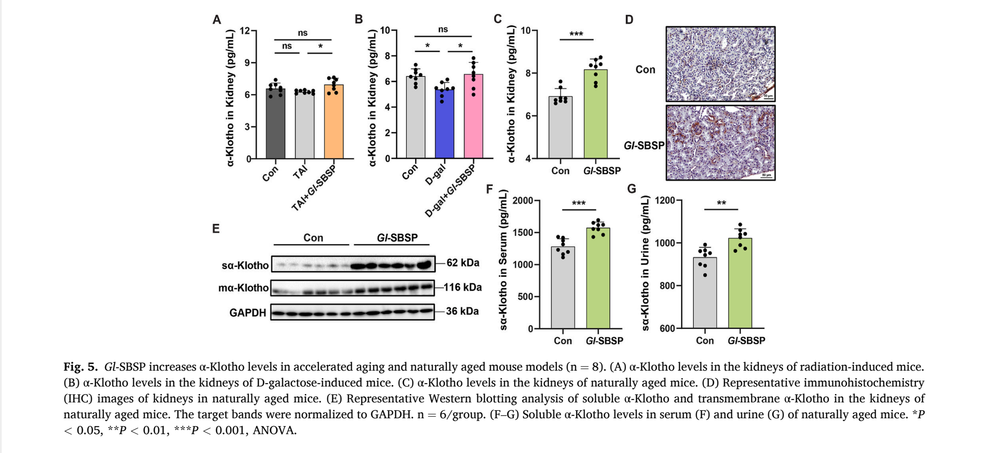 杭州亞運會官方靈芝產(chǎn)品供應商|杭州亞運會官方供應商|中國靈芝十大品牌|仙客來靈芝|仙客來靈芝破壁孢子粉|仙客來孢子油|仙客來靈芝飲片|仙客來破壁孢子粉|靈芝孢子油|孢子粉|靈芝破壁孢子粉|靈芝|中華老字號 杭州亞運會官方靈芝產(chǎn)品供應商|杭州亞運會官方供應商|中國靈芝十大品牌|仙客來靈芝|仙客來靈芝破壁孢子粉|仙客來孢子油|仙客來靈芝飲片|仙客來破壁孢子粉|靈芝孢子油|孢子粉|靈芝破壁孢子粉|靈芝|中華老字號