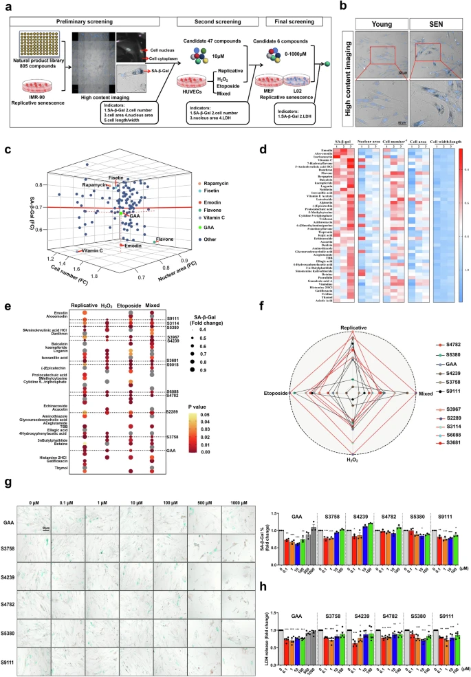 杭州亞運(yùn)會(huì)官方靈芝產(chǎn)品供應(yīng)商|杭州亞運(yùn)會(huì)官方供應(yīng)商|中國(guó)靈芝十大品牌|仙客來(lái)靈芝|仙客來(lái)靈芝破壁孢子粉|仙客來(lái)孢子油|仙客來(lái)靈芝飲片|仙客來(lái)破壁孢子粉|靈芝孢子油|孢子粉|靈芝破壁孢子粉|靈芝|中華老字號(hào)