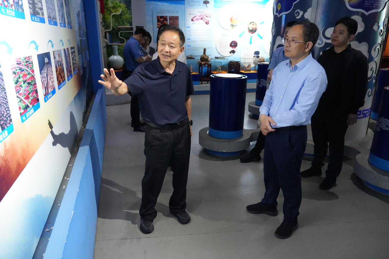 杭州亞運(yùn)會官方靈芝產(chǎn)品供應(yīng)商|杭州亞運(yùn)會官方供應(yīng)商|中國靈芝十大品牌|仙客來靈芝|仙客來靈芝破壁孢子粉|仙客來孢子油|仙客來靈芝飲片|仙客來破壁孢子粉|靈芝孢子油|孢子粉|靈芝破壁孢子粉|靈芝|中華老字號