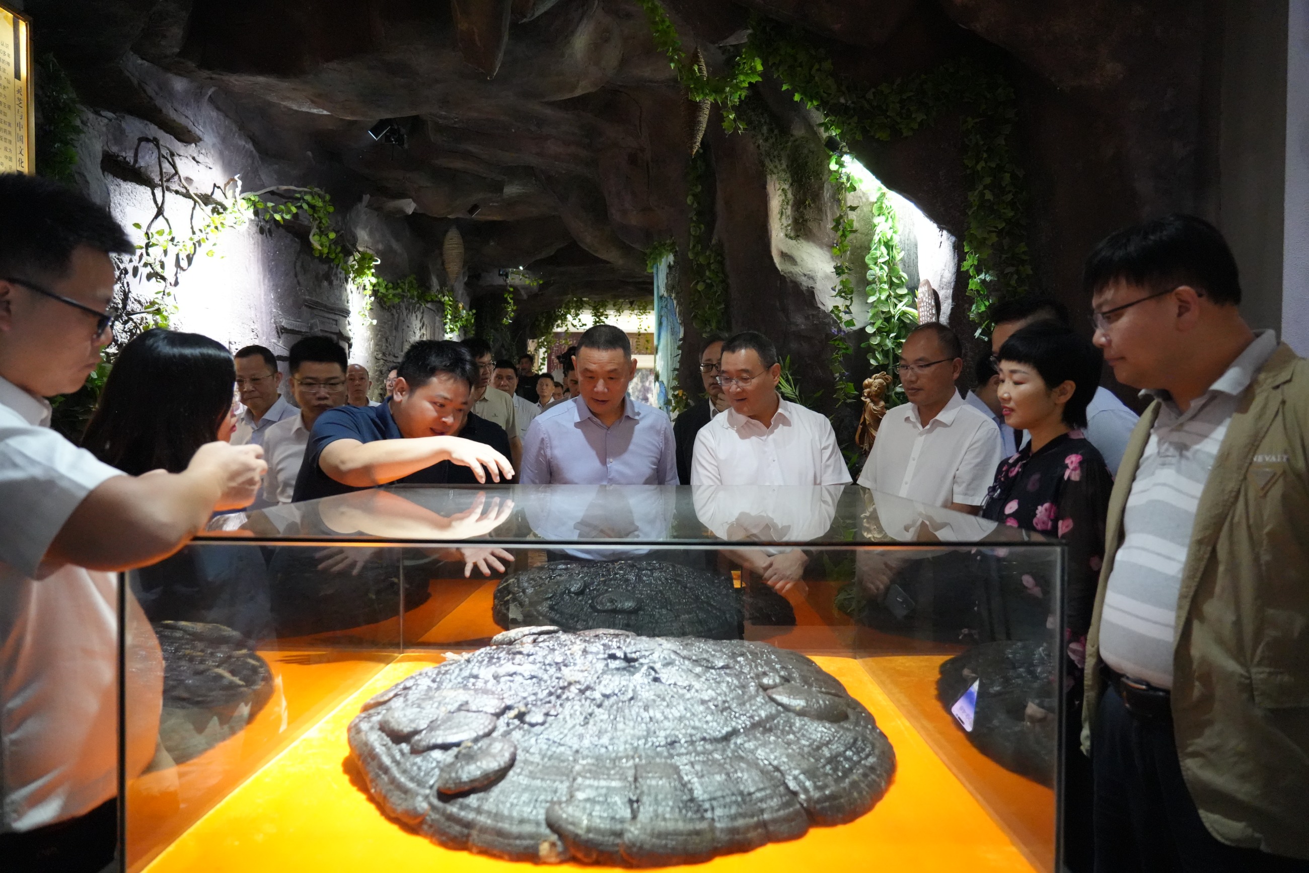 杭州亞運(yùn)會(huì)官方靈芝產(chǎn)品供應(yīng)商|杭州亞運(yùn)會(huì)官方供應(yīng)商|中國(guó)靈芝十大品牌|仙客來(lái)靈芝|仙客來(lái)靈芝破壁孢子粉|仙客來(lái)孢子油|仙客來(lái)靈芝飲片|仙客來(lái)破壁孢子粉|靈芝孢子油|孢子粉|靈芝破壁孢子粉|靈芝|中華老字號(hào)