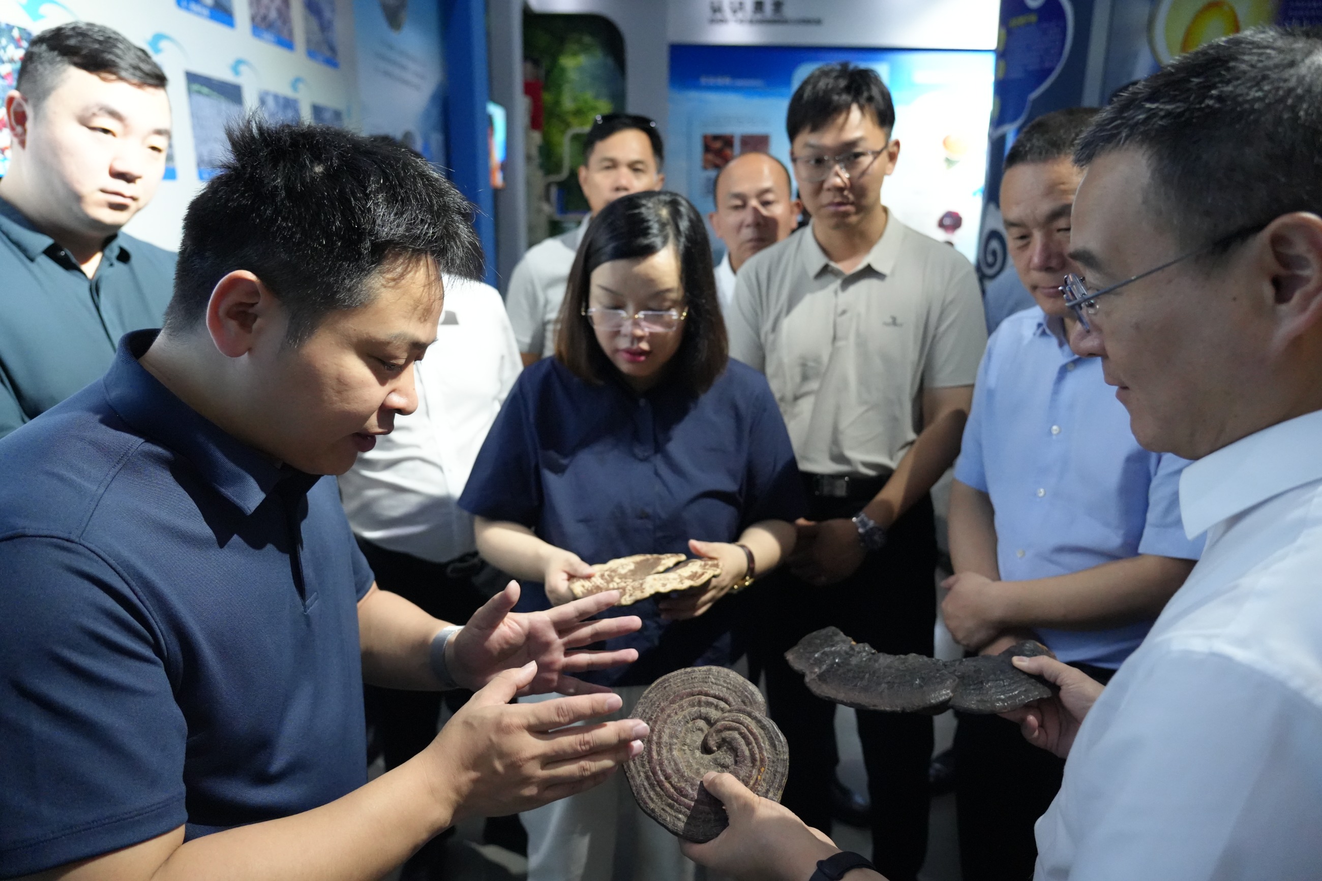 杭州亞運(yùn)會(huì)官方靈芝產(chǎn)品供應(yīng)商|杭州亞運(yùn)會(huì)官方供應(yīng)商|中國(guó)靈芝十大品牌|仙客來(lái)靈芝|仙客來(lái)靈芝破壁孢子粉|仙客來(lái)孢子油|仙客來(lái)靈芝飲片|仙客來(lái)破壁孢子粉|靈芝孢子油|孢子粉|靈芝破壁孢子粉|靈芝|中華老字號(hào)