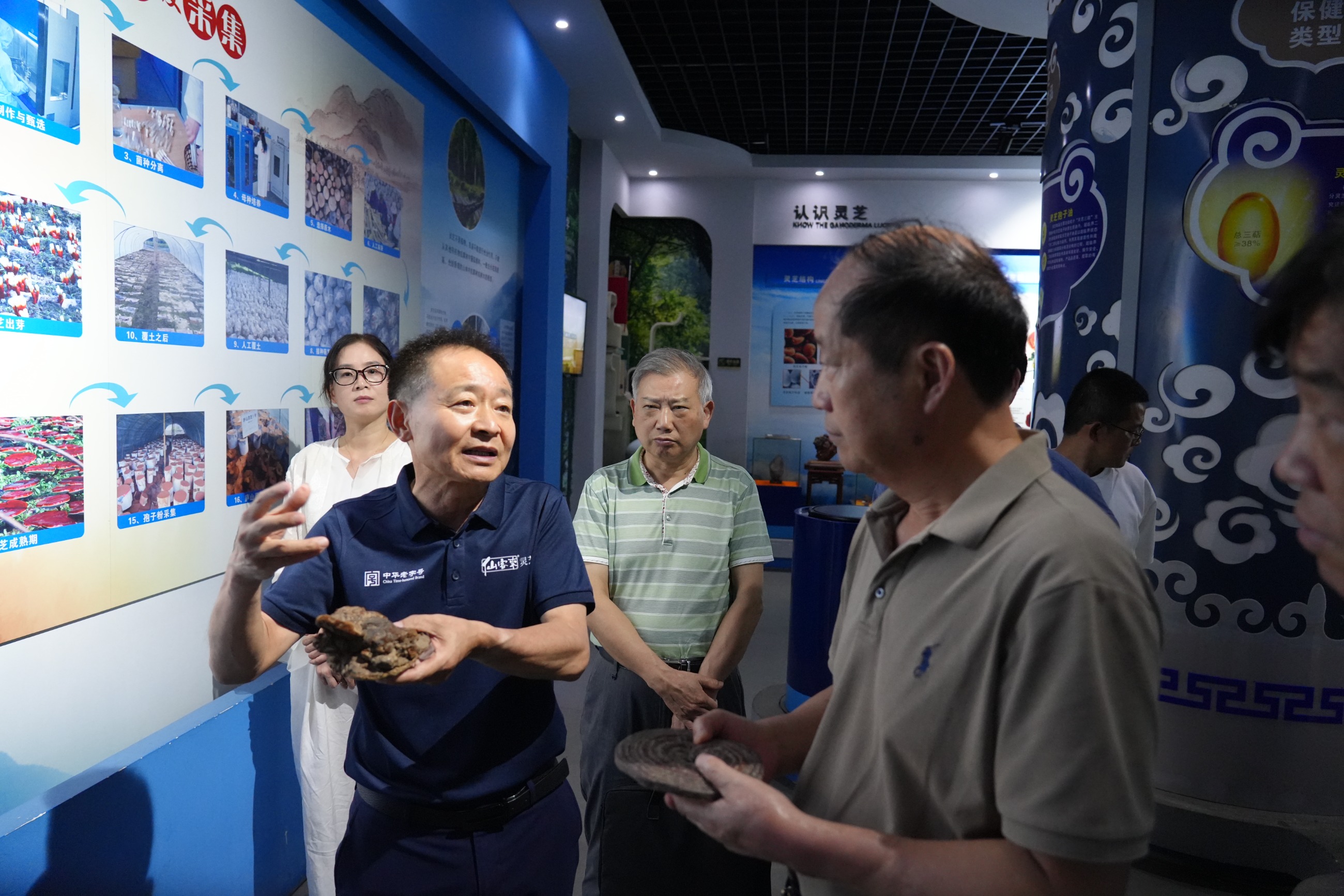 杭州亞運會官方靈芝產(chǎn)品供應(yīng)商|杭州亞運會官方供應(yīng)商|中國靈芝十大品牌|仙客來靈芝|仙客來靈芝破壁孢子粉|仙客來孢子油|仙客來靈芝飲片|仙客來破壁孢子粉|靈芝孢子油|孢子粉|靈芝破壁孢子粉|靈芝|中華老字號