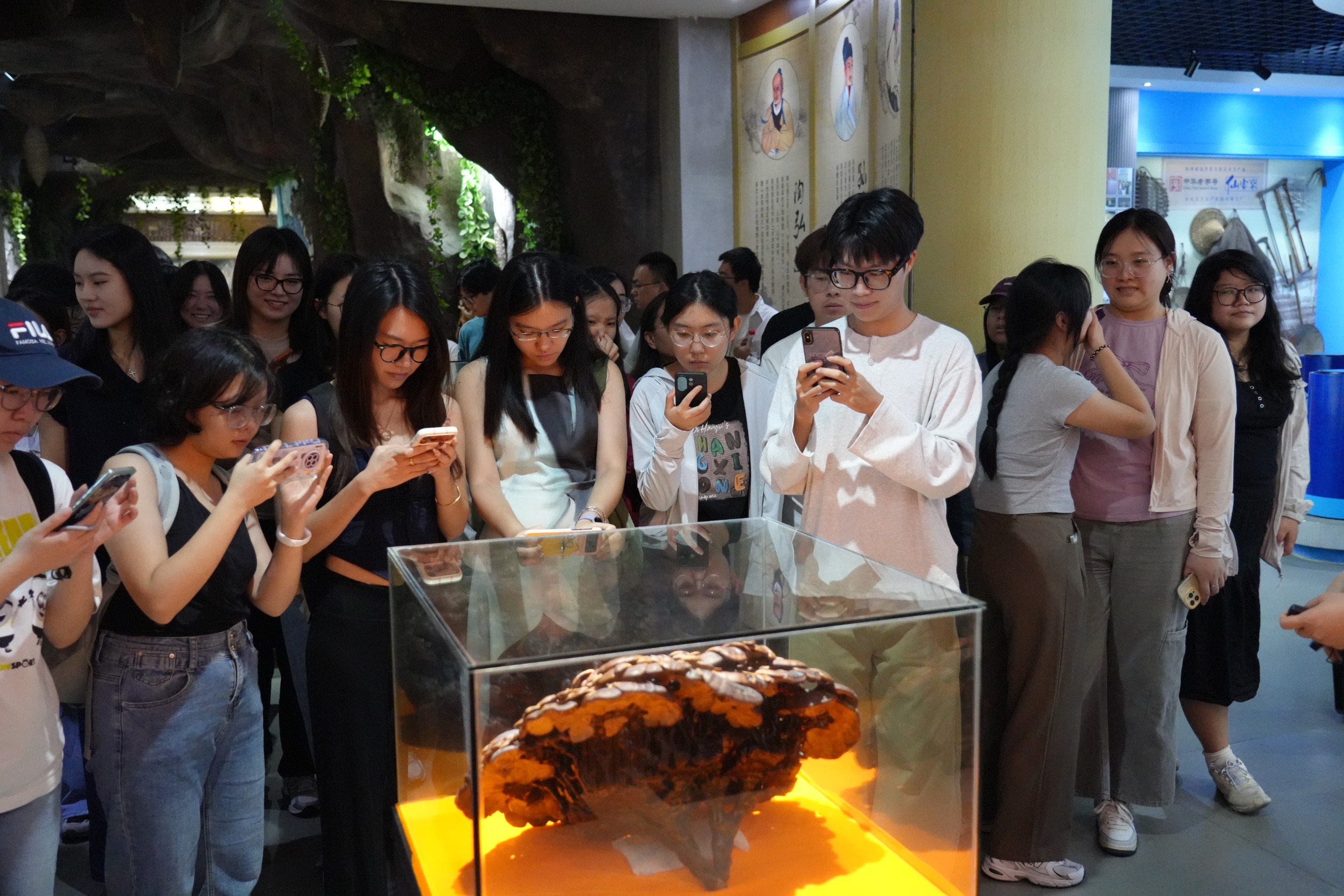 杭州亞運(yùn)會(huì)官方靈芝產(chǎn)品供應(yīng)商|杭州亞運(yùn)會(huì)官方供應(yīng)商|中國(guó)靈芝十大品牌|仙客來靈芝|仙客來靈芝破壁孢子粉|仙客來孢子油|仙客來靈芝飲片|仙客來破壁孢子粉|靈芝孢子油|孢子粉|靈芝破壁孢子粉|靈芝|中華老字號(hào) 杭州亞運(yùn)會(huì)官方靈芝產(chǎn)品供應(yīng)商|杭州亞運(yùn)會(huì)官方供應(yīng)商|中國(guó)靈芝十大品牌|仙客來靈芝|仙客來靈芝破壁孢子粉|仙客來孢子油|仙客來靈芝飲片|仙客來破壁孢子粉|靈芝孢子油|孢子粉|靈芝破壁孢子粉|靈芝|中華老字號(hào)