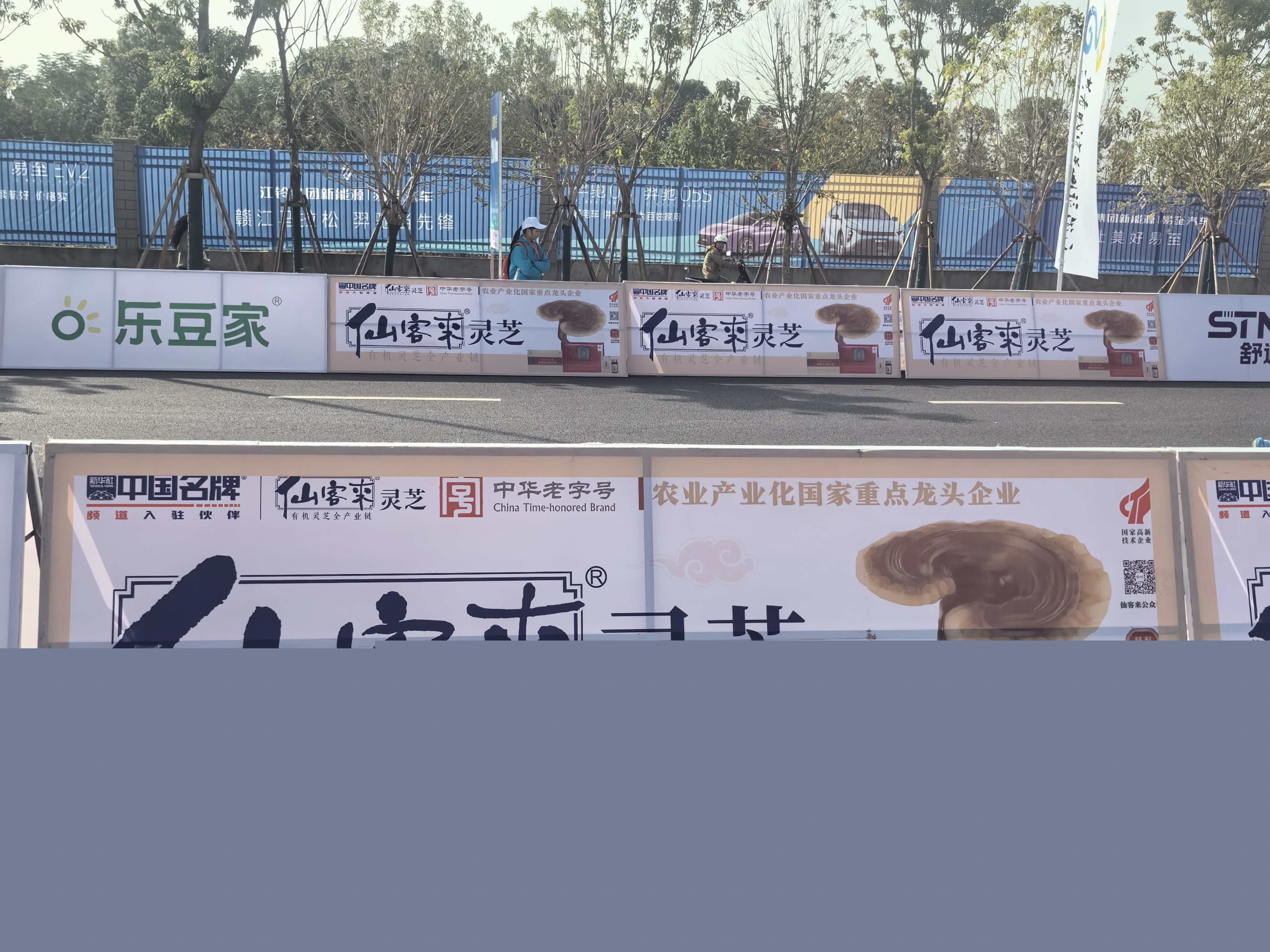 杭州亞運(yùn)會(huì)官方靈芝產(chǎn)品供應(yīng)商|杭州亞運(yùn)會(huì)官方供應(yīng)商|中國(guó)靈芝十大品牌|仙客來靈芝|仙客來靈芝破壁孢子粉|仙客來孢子油|仙客來靈芝飲片|仙客來破壁孢子粉|靈芝孢子油|孢子粉|靈芝破壁孢子粉|靈芝|中華老字號(hào) 杭州亞運(yùn)會(huì)官方靈芝產(chǎn)品供應(yīng)商|杭州亞運(yùn)會(huì)官方供應(yīng)商|中國(guó)靈芝十大品牌|仙客來靈芝|仙客來靈芝破壁孢子粉|仙客來孢子油|仙客來靈芝飲片|仙客來破壁孢子粉|靈芝孢子油|孢子粉|靈芝破壁孢子粉|靈芝|中華老字號(hào)