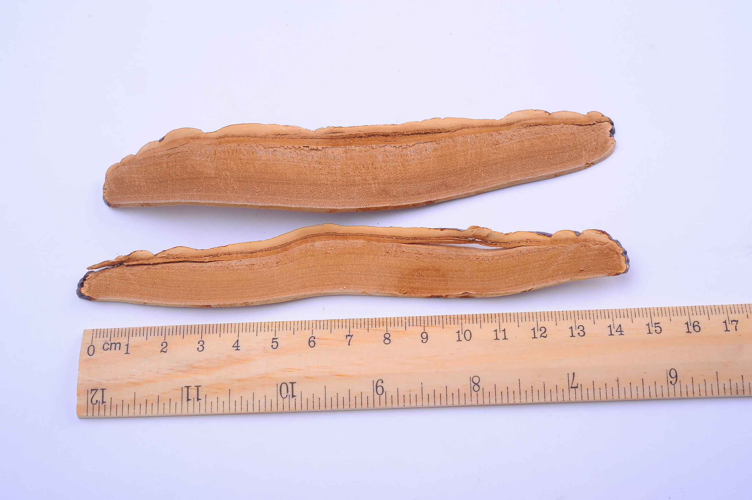 杭州亞運會官方靈芝產(chǎn)品供應(yīng)商|杭州亞運會官方供應(yīng)商|中國靈芝十大品牌|仙客來靈芝|仙客來靈芝破壁孢子粉|仙客來孢子油|仙客來靈芝飲片|仙客來破壁孢子粉|靈芝孢子油|孢子粉|靈芝破壁孢子粉|靈芝|中華老字號 杭州亞運會官方靈芝產(chǎn)品供應(yīng)商|杭州亞運會官方供應(yīng)商|中國靈芝十大品牌|仙客來靈芝|仙客來靈芝破壁孢子粉|仙客來孢子油|仙客來靈芝飲片|仙客來破壁孢子粉|靈芝孢子油|孢子粉|靈芝破壁孢子粉|靈芝|中華老字號