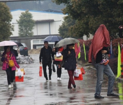 九江暴雨，仙客來(lái)“暴游”