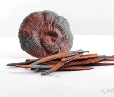 先，鮮，仙，一杯飲盡天下鮮。