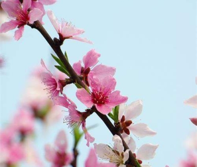 清明小長假謹防疫情！健康長壽請謹記這“三個字”