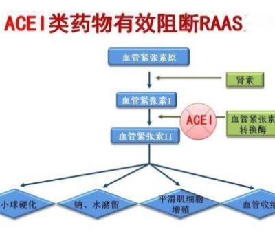 不吃藥，能降低高血壓？