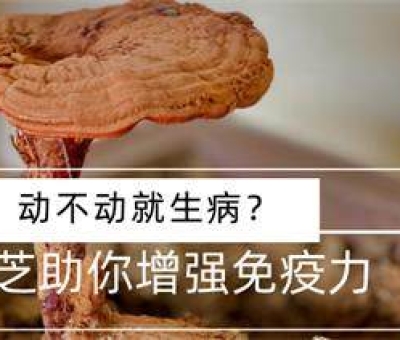 冬病夏治-如何調(diào)養(yǎng)身體？