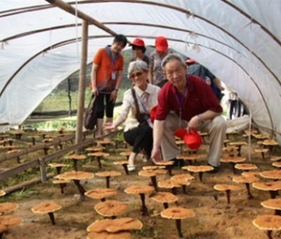 “七一勛章”獲得者張桂梅背后的故事：他們將靈芝磨成粉，送給她拌飯吃，說(shuō)，吃這些能治病