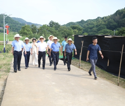 全國工商聯(lián)社會(huì)服務(wù)部部長(zhǎng)吳建輝一行蒞臨仙客來靈芝標(biāo)準(zhǔn)化基地等地調(diào)研