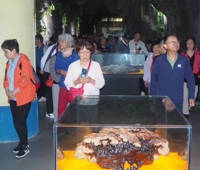 深深靈芝情！中華全國(guó)供銷合作總社再訪仙客來(lái)