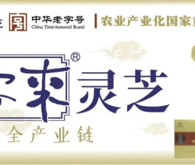 贊助商-仙客來(lái)靈芝，為健康加油